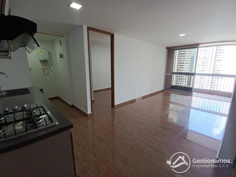 WhatsApp Image 2026-04-01 at 11.04.57 AM.jpeg